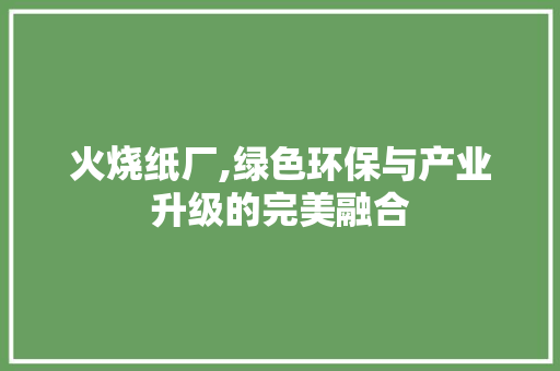 火烧纸厂,绿色环保与产业升级的完美融合