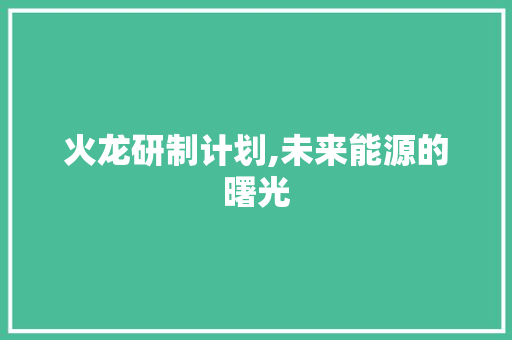 火龙研制计划,未来能源的曙光