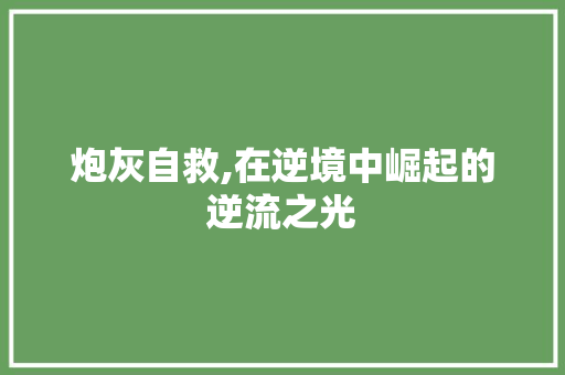 炮灰自救,在逆境中崛起的逆流之光