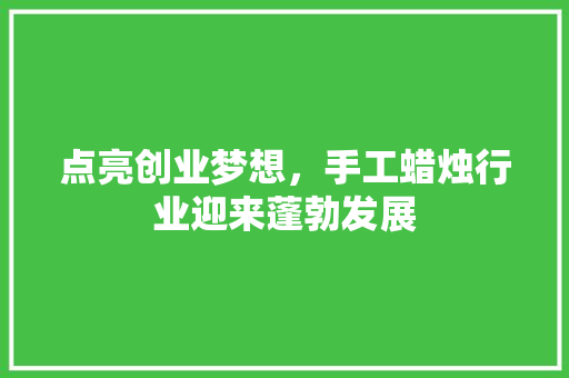 点亮创业梦想，手工蜡烛行业迎来蓬勃发展