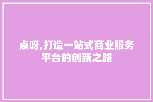 点呀,打造一站式商业服务平台的创新之路