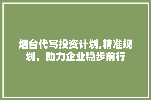 烟台代写投资计划,精准规划，助力企业稳步前行