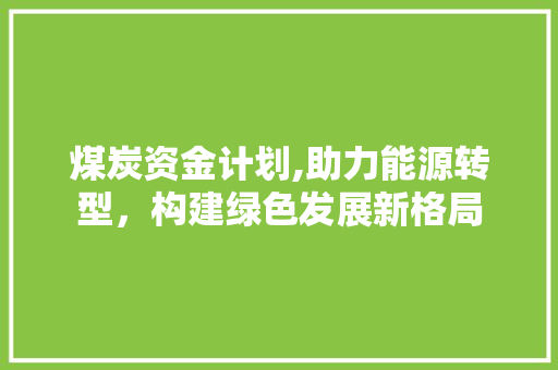 煤炭资金计划,助力能源转型，构建绿色发展新格局