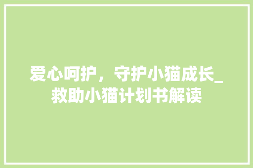 爱心呵护，守护小猫成长_救助小猫计划书解读