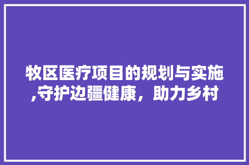 牧区医疗项目的规划与实施,守护边疆健康，助力乡村振兴