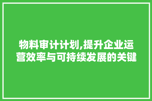 物料审计计划,提升企业运营效率与可持续发展的关键路径