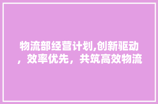 物流部经营计划,创新驱动，效率优先，共筑高效物流体系