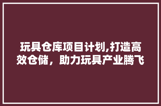 玩具仓库项目计划,打造高效仓储，助力玩具产业腾飞