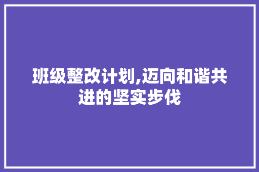 班级整改计划,迈向和谐共进的坚实步伐