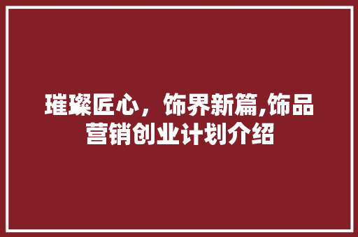 璀璨匠心，饰界新篇,饰品营销创业计划介绍