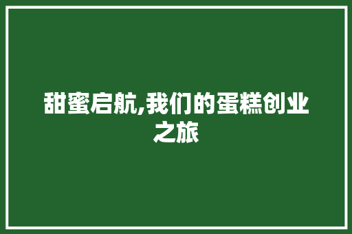 甜蜜启航,我们的蛋糕创业之旅