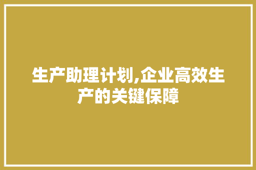 生产助理计划,企业高效生产的关键保障