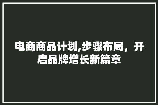 电商商品计划,步骤布局，开启品牌增长新篇章