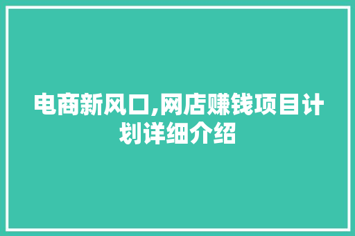 电商新风口,网店赚钱项目计划详细介绍