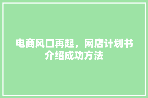 电商风口再起，网店计划书介绍成功方法