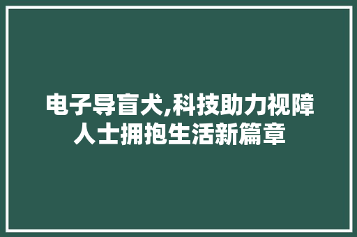 电子导盲犬,科技助力视障人士拥抱生活新篇章