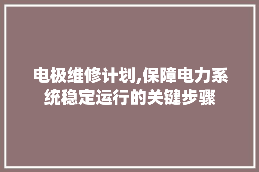 电极维修计划,保障电力系统稳定运行的关键步骤