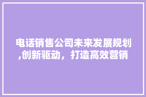 电话销售公司未来发展规划,创新驱动，打造高效营销新格局