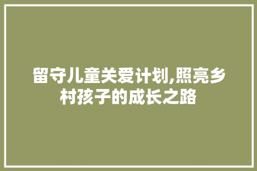 留守儿童关爱计划,照亮乡村孩子的成长之路