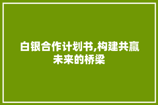 白银合作计划书,构建共赢未来的桥梁