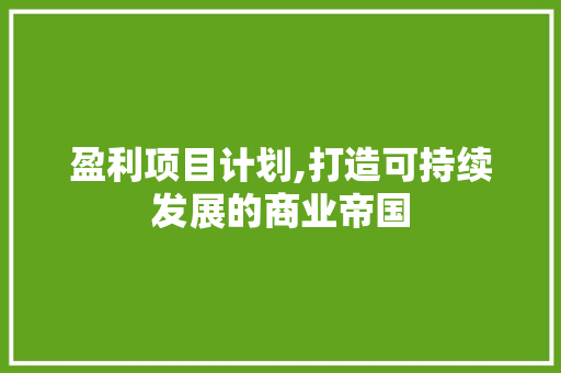 盈利项目计划,打造可持续发展的商业帝国