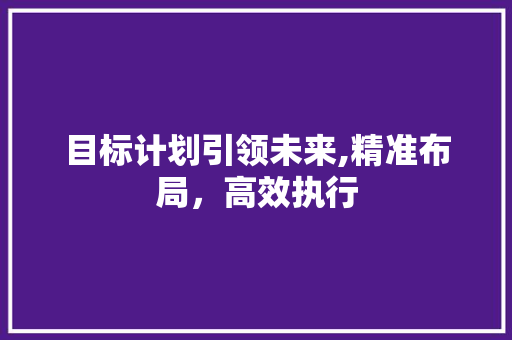 目标计划引领未来,精准布局，高效执行