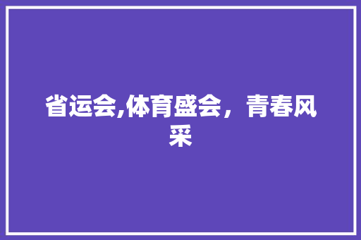 省运会,体育盛会，青春风采