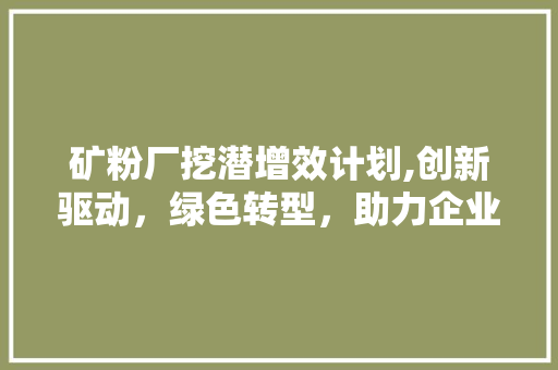 矿粉厂挖潜增效计划,创新驱动，绿色转型，助力企业可持续发展