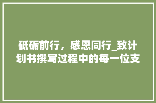 砥砺前行，感恩同行_致计划书撰写过程中的每一位支持者