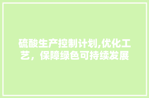 硫酸生产控制计划,优化工艺，保障绿色可持续发展