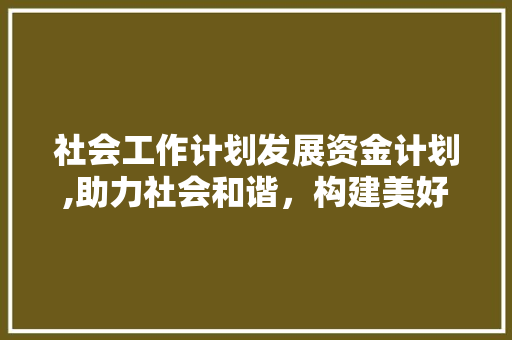 社会工作计划发展资金计划,助力社会和谐，构建美好未来