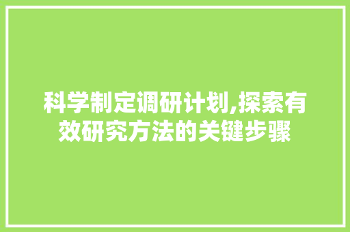 科学制定调研计划,探索有效研究方法的关键步骤