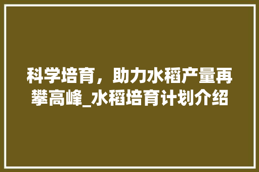 科学培育，助力水稻产量再攀高峰_水稻培育计划介绍