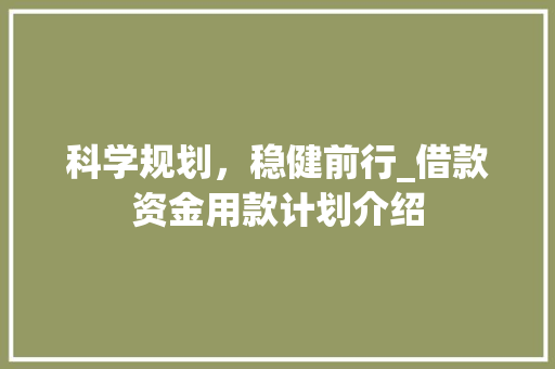 科学规划，稳健前行_借款资金用款计划介绍