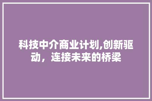 科技中介商业计划,创新驱动，连接未来的桥梁