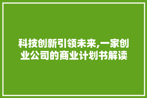 科技创新引领未来,一家创业公司的商业计划书解读