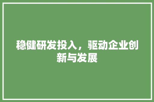 稳健研发投入，驱动企业创新与发展