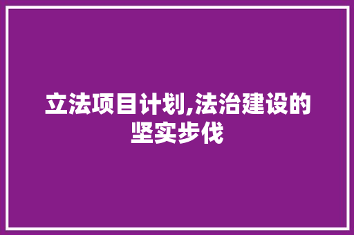 立法项目计划,法治建设的坚实步伐