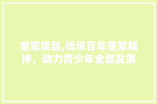 童军项目,传承百年童军精神，助力青少年全面发展