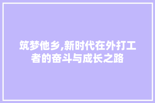 筑梦他乡,新时代在外打工者的奋斗与成长之路