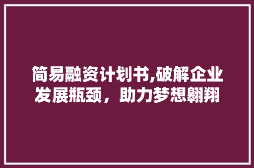 简易融资计划书,破解企业发展瓶颈，助力梦想翱翔