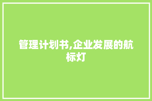 管理计划书,企业发展的航标灯