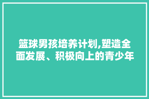 篮球男孩培养计划,塑造全面发展、积极向上的青少年