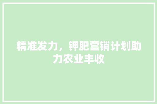 精准发力，钾肥营销计划助力农业丰收