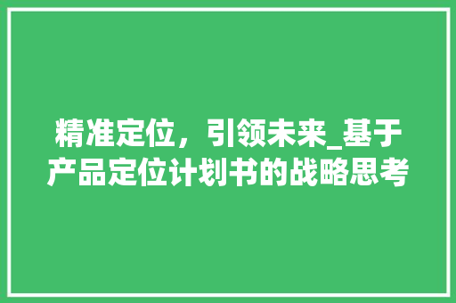 精准定位，引领未来_基于产品定位计划书的战略思考