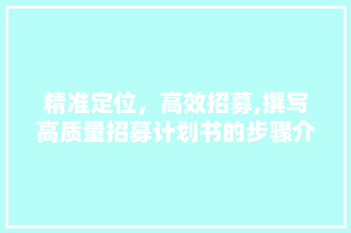 精准定位，高效招募,撰写高质量招募计划书的步骤介绍