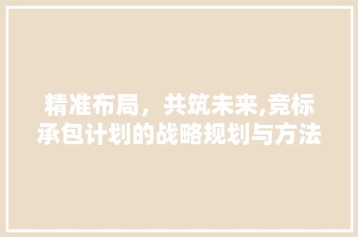 精准布局，共筑未来,竞标承包计划的战略规划与方法