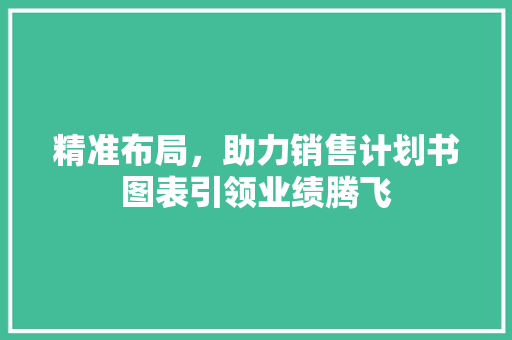 精准布局，助力销售计划书图表引领业绩腾飞