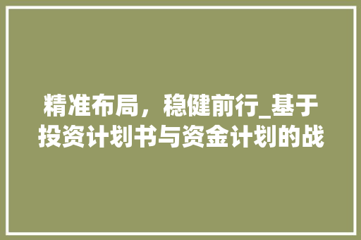 精准布局，稳健前行_基于投资计划书与资金计划的战略规划