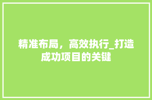 精准布局，高效执行_打造成功项目的关键